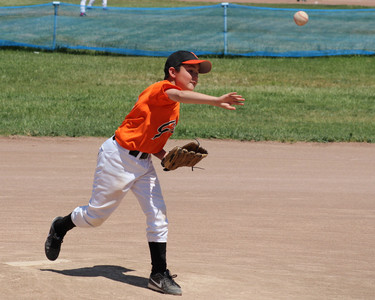 IMG_2238.jpg