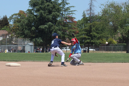 IMG_6335.jpg