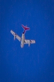 BF0T5055.jpg