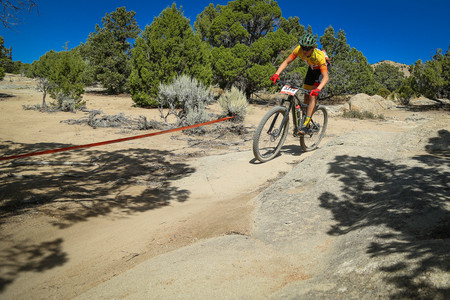BF0T5780.jpg
