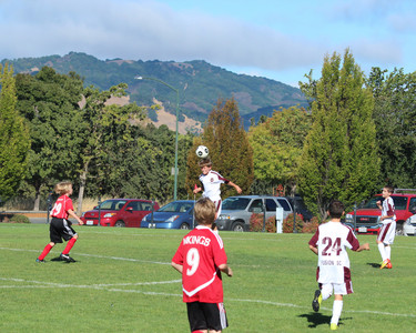 IMG_4180.jpg