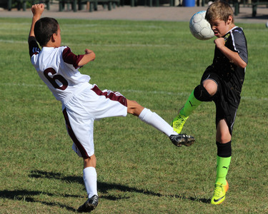 IMG_5387.jpg