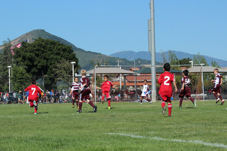 IMG_4773.jpg