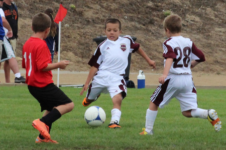 IMG_0400.jpg