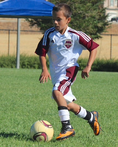 IMG_6445.jpg
