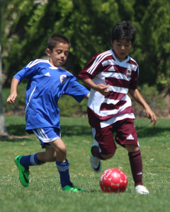 IMG_7255.jpg