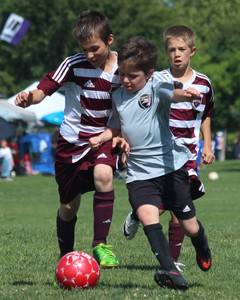IMG_7365.jpg