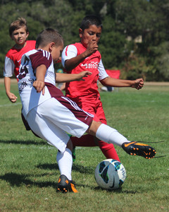 IMG_3416.jpg