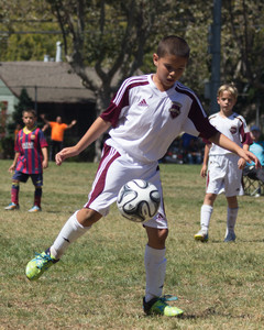 IMG_3974.jpg