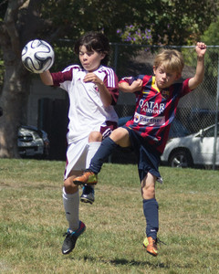 IMG_4016.jpg