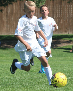 IMG_3170.jpg
