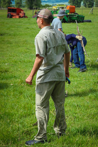 IMG_2593.jpg