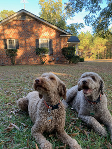 557D2B5D-B417-4D2F-B18E-46C45752864E.jpeg