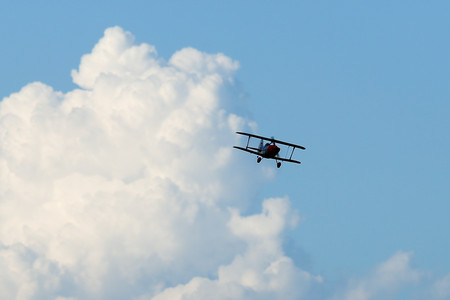 BF0T9976.jpg