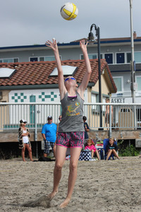 IMG_8342.jpg
