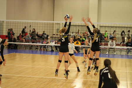 IMG_1219.jpg