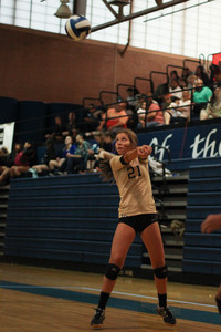 IMG_3533.jpg