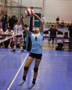 IMG_3707.jpg