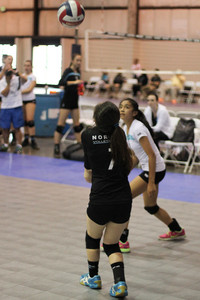IMG_7937.jpg