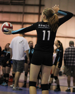 IMG_7950.jpg