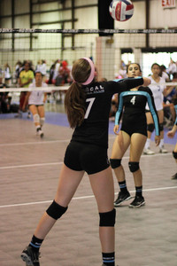 IMG_8141.jpg