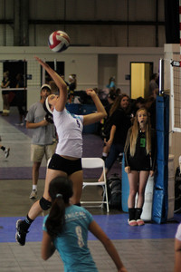 IMG_8261.jpg