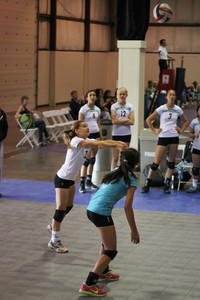 IMG_8284.jpg