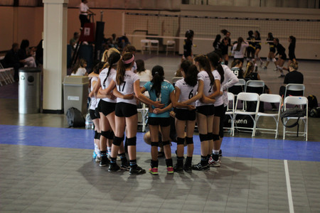 IMG_8302.jpg