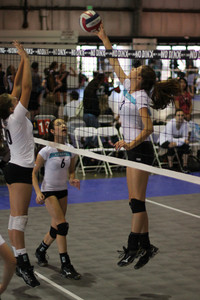 IMG_8367.jpg