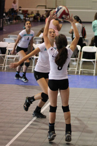 IMG_8440.jpg
