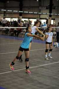 IMG_8525.jpg