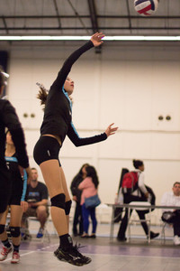 IMG_0667.jpg