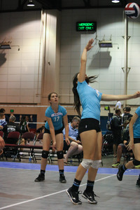 IMG_8126.jpg