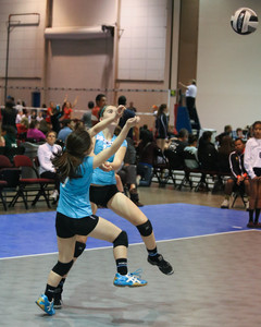 IMG_8405.jpg