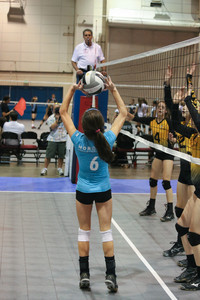 IMG_8445.jpg
