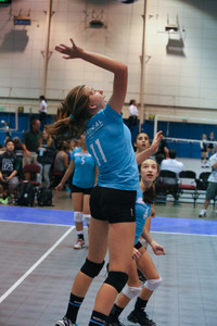 IMG_8447.jpg