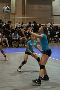 IMG_8525.jpg