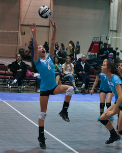 IMG_8698.jpg