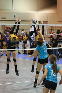 IMG_8870.jpg