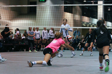 IMG_9516.jpg