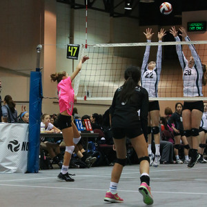 IMG_9620.jpg