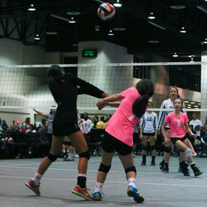 IMG_9685.jpg