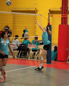 IMG_4463.jpg