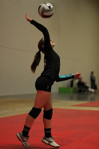 IMG_4684.jpg