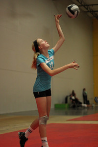 IMG_4689.jpg