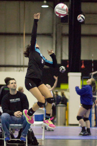 IMG_1495 2.jpg
