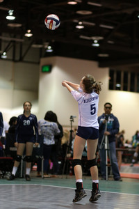 IMG_7963.jpg