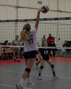 IMG_5442.jpg