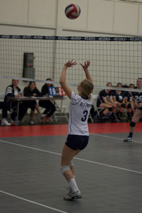 IMG_5449.jpg