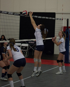 IMG_5553.jpg